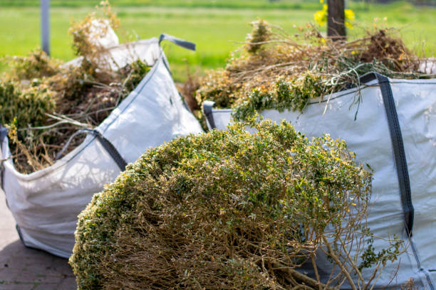 Best Same-Day Junk Removal  in Whitesboro, AL